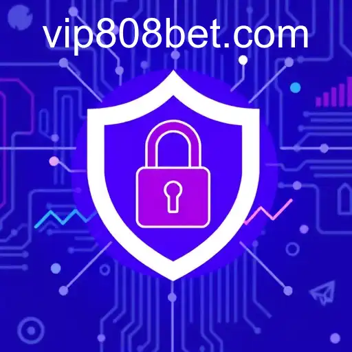 Privacy Policy Explained with the Example of 808bet